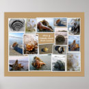 Search for beach collage art Ocean