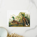 Search for audubon cards John james audubon