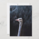 Search for portrait invitations Cute