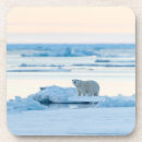 Search for january coasters Winter