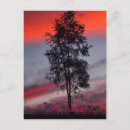 Search for customisation postcards For her