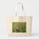 Recherche de balade accessoires Chien