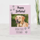 Search for fur baby cards Cat