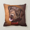 Recherche de chien labrador coussins Chiot