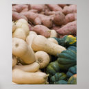 Search for squash posters Food