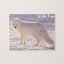 Search for fox puzzles Beautiful