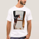Search for clydesdale tshirts Nature