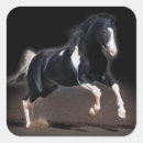 Recherche de portrait de cheval autocollants Portraits