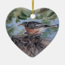 Search for birds nest ornaments Wildlife