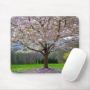 Search for japanese cherry blossom mousepads Nature