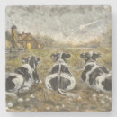 Search for absorbent coasters Housewarming