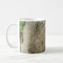 Search for cheery mugs Nature