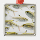 Search for ray ornaments Yellow