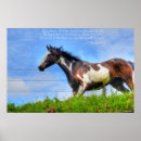 Recherche de paint horse posters Amateurs de chevaux