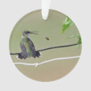 Search for ornithology ornaments Birds and blooms