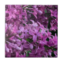Search for pink floral tiles Purple
