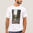 Search for colorado spring tshirts States