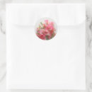 Recherche de fleur de pois doux Fleurs roses