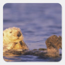 Search for bradley stickers Animal
