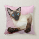 Search for siamese cat pillows Pink