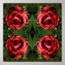 Search for rose bloom art Red