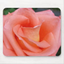 Recherche de pétale rose tapis souris Jardin