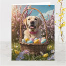 Search for labrador easter cards Pet