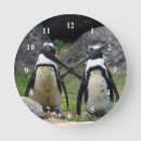 Recherche de pingouins horloges Couple