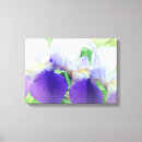 Search for iris flowers canvas prints Photography