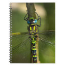 Search for insect lover notebooks Dragonflies