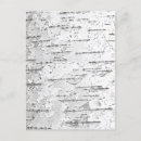 Recherche de bouleau blanc cartes postales Nature