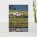 Search for running horse cards Horses