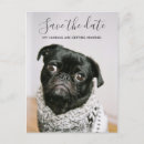Search for my humans are getting married wedding save the dates Pet