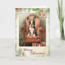 Search for boston terrier christmas cards Pet