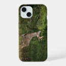 Search for whitetail deer iphone cases Buck