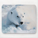Search for polar bear mousepads Photography