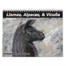 Search for llama calendars Animal