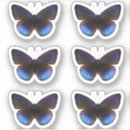 Search for black and blue butterfly stickers Nature
