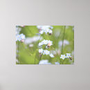 Recherche de noeuds impressions sur toile Vert