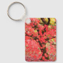 Search for japanese maple accessories Autumn