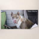 Search for pit bull Cute