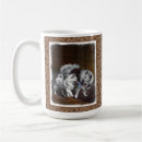Recherche de spitz tasses Dog