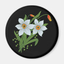 Recherche de narcisse magnets Noir