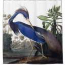 Search for heron shower curtains Wildlife