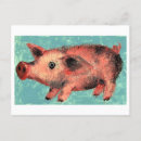Search for cute piglets postcards Baby