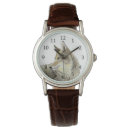 Search for predator watches Wild