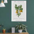 Search for water color painting posters Vintage