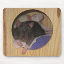 Search for pet rats mousepads Mice