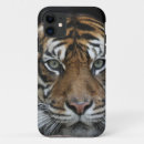 Search for tiger pictures iphone cases Animal