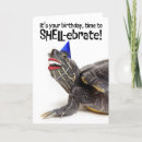 Search for smiling turtle Funny